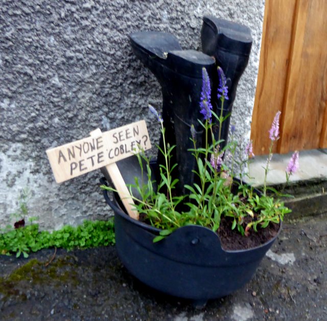 welliesalbum17.jpg