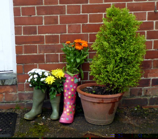 welliesalbum19.jpg